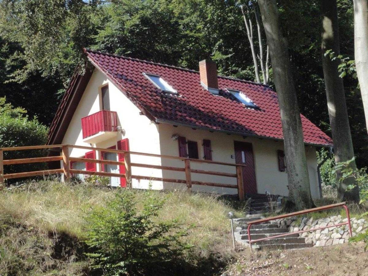 Вилла Ferienhaus Rotkaeppchen Зеллин Экстерьер фото