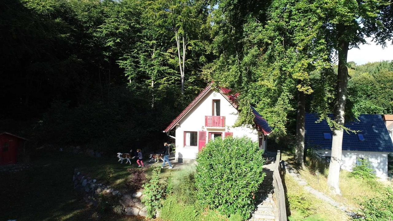 Вилла Ferienhaus Rotkaeppchen Зеллин Экстерьер фото